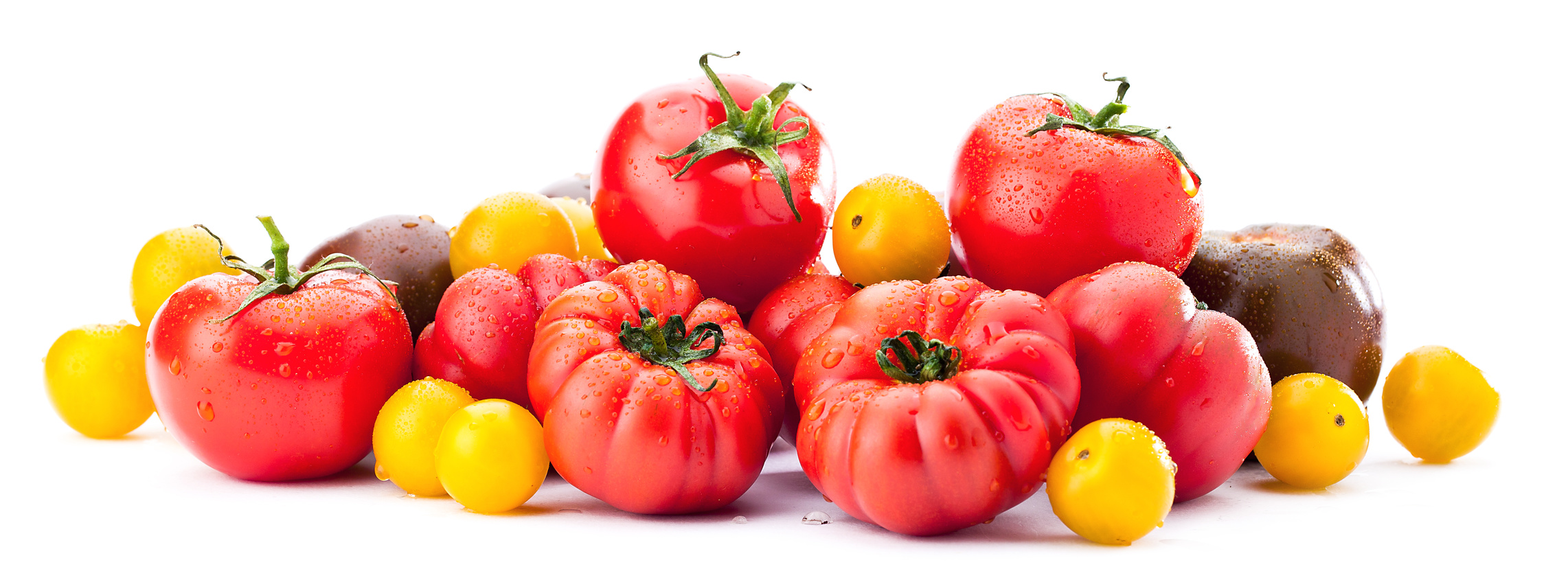 Tomaten Sorten
